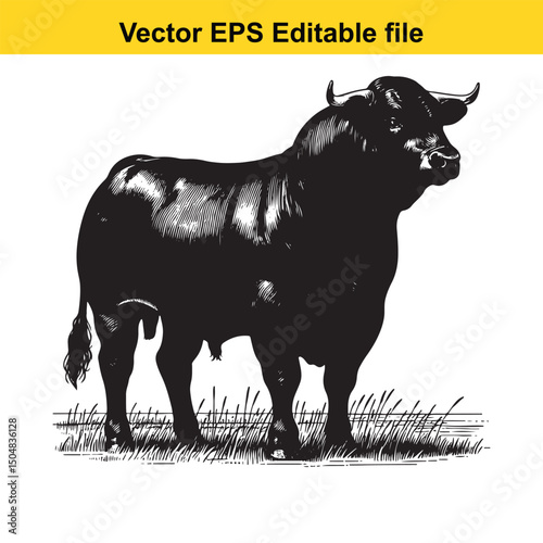 Angus Bull, Cow, and Calf Vector Silhouettes | Livestock Line Art | Farm Animal Clipart Collection