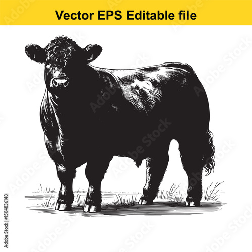 Angus Bull, Cow, and Calf Vector Silhouettes | Livestock Line Art | Farm Animal Clipart Collection