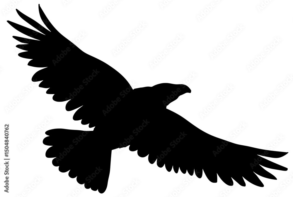 Fototapeta premium Andean Condor Bird Silhouette Shadow Vector Art Drawing
