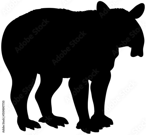 Baird's Tapir Silhouette Shadow Vector Drawing
