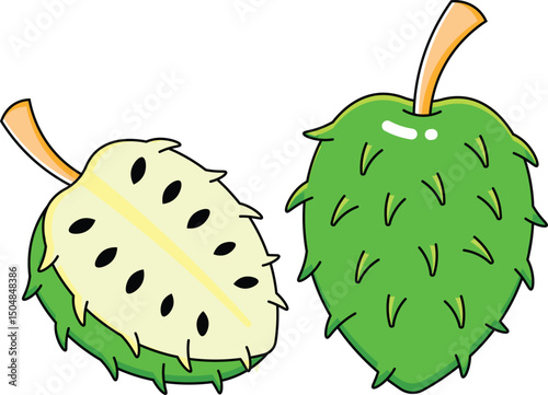 Soursop vectors