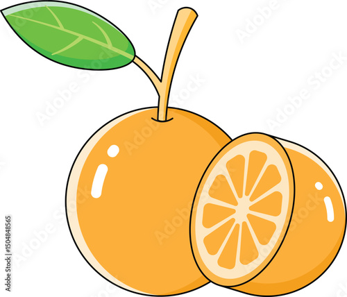 orange fruit vectors