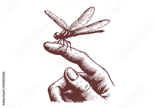 Dragonfly Hand Drawn Natural Illustration Vector Isolated by AZ for Books, Arts, Design and Decoration Graphic Asset
