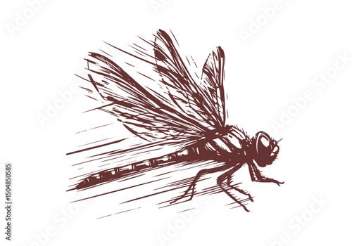 Dragonfly Hand Drawn Natural Illustration Vector Isolated by AZ for Books, Arts, Design and Decoration Graphic Asset