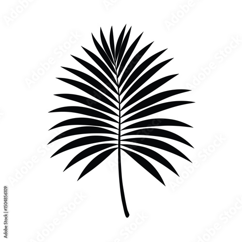Palm leaf vector silhouette
