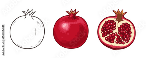 Three stylized illustrations of pomegranates: a black outline of a whole fruit, a full color drawing of a ripe pomegranate, and a detailed half-cut view of a single pomegranate revealing its red arils