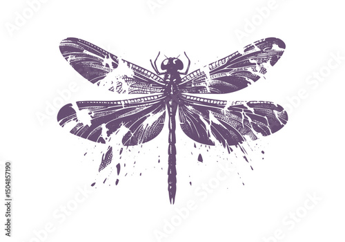 Dragonfly Detailed Hand Drawn Natural Illustration Vector Isolated by AZ for Books, Arts, Design and Decoration Graphic Asset