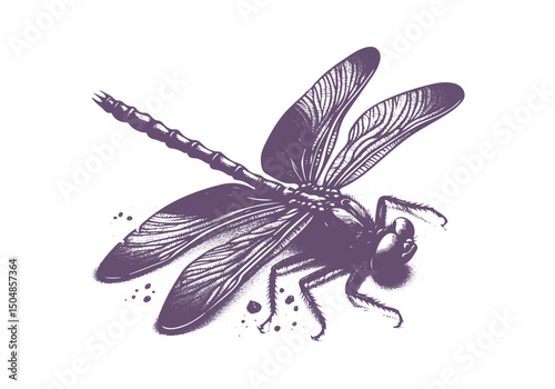 Dragonfly Detailed Hand Drawn Natural Illustration Vector Isolated by AZ for Books, Arts, Design and Decoration Graphic Asset