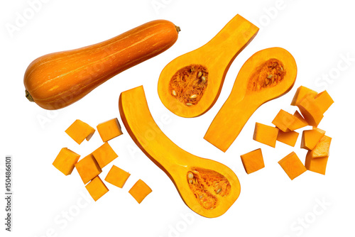 Whole green neck pumpkin isolated on transparent background evokes fresh harvest feel for seasonal CSA promotions