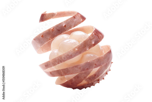 Minimal lychee spiral silhouette on transparent background supplies luxe accent for organic liqueur bottle graphics