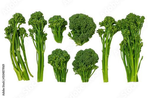 Bright broccolini arrangement isolated on transparent background, ideal for farmers-market flyers and diet-coach visuals photo