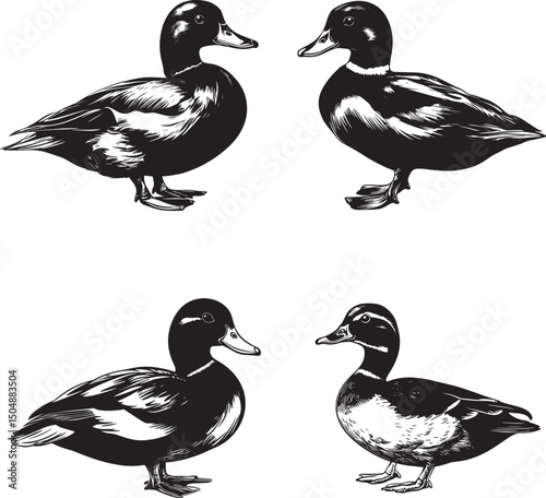 Duck SVG Bundle