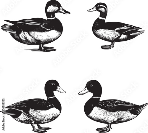 Duck SVG Bundle
