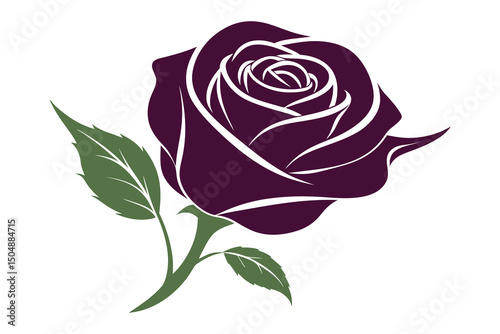A full, single  rose on a white background