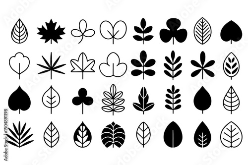 Simple Black Monochrome Vector Design