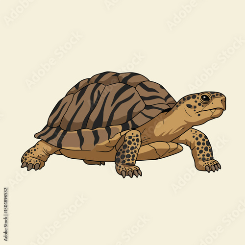 Cartoon Turtle Illustration with Striped Shell Isolated on Cream Background