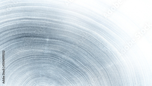 Light gray blue monotone impression of end grain of wood slab. Tree rings art with texture and smooth surface.
