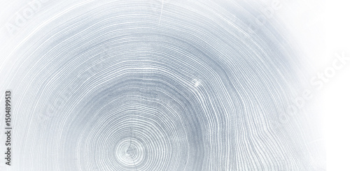 Light gray blue monotone impression of end grain of wood slab. Tree rings art with texture and smooth surface.
