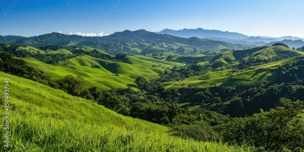 Fototapeta premium A lush green mountainside with rolling pastures stretching under a clear sky