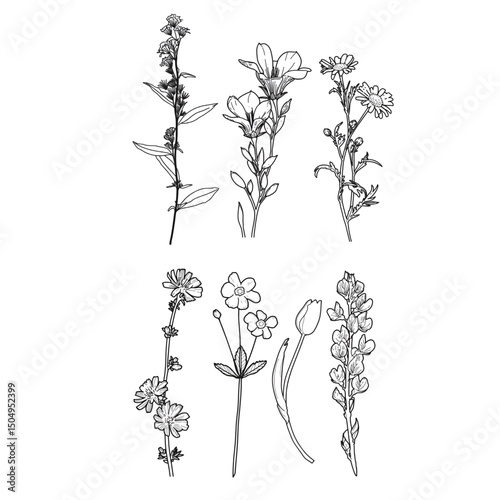 black and white background decorative flower icon illustration. black and white flower icon set, hand drawn decorative plants.
