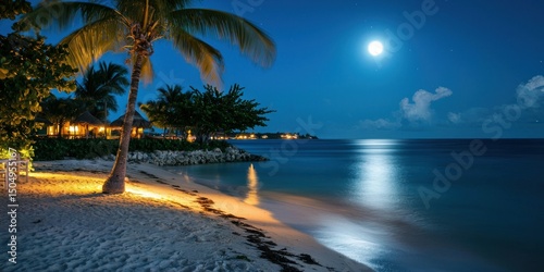 A peaceful beach at night with the full moon casting silver light on the ocean
