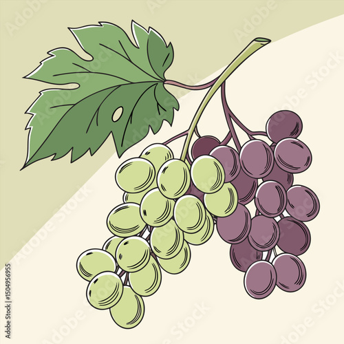 Grape Fruit Cartoon