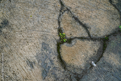 Fototapeta Naklejka Na Ścianę i Meble -  Detailed texture of weathered concrete featuring cracks and small vegetation. The rough surface shows wear, ideal for background texture or urban decay concepts and material design.