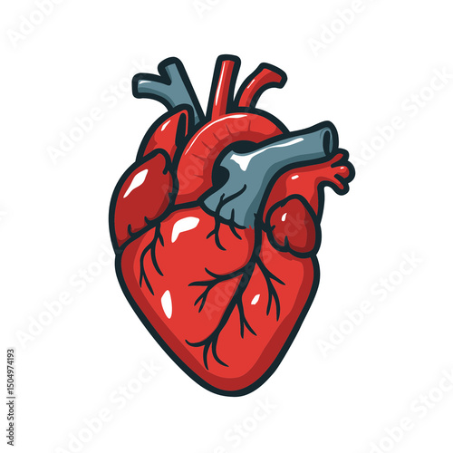 Flat Illustration of a Human Anatomical Heart with Shaded.