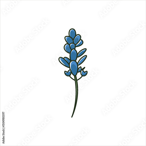 Blue bonnet Flower Colored Illustration
