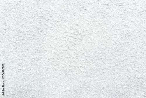 white concrete wall, emphasizing natural textures and perfect for nature-based branding or eco-conscious promotional content.