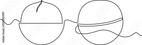 one line art Macadamia vector illustration. line art, one continuous line, simple, hand drawn and sketch style. for icons, symbols, signs or logos. PNG