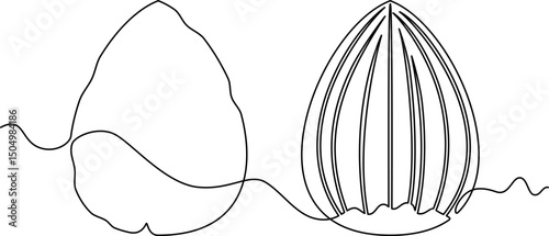 one line art Hazelnut vector illustration. line art, one continuous line, simple, hand drawn and sketch style. for icons, symbols, signs or logos. PNG