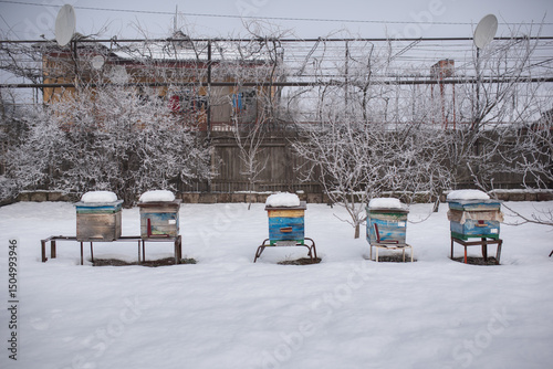 Bee hives in winter