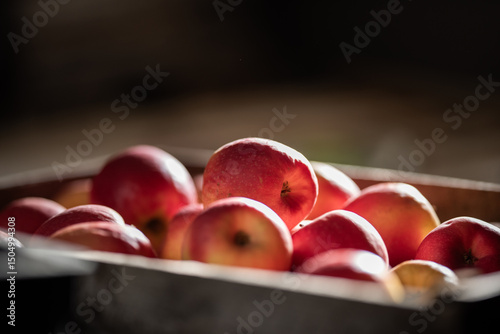 Apples and vintage light