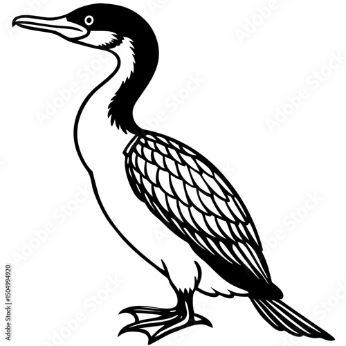 Minimalist Great Cormorant Vector on White Background