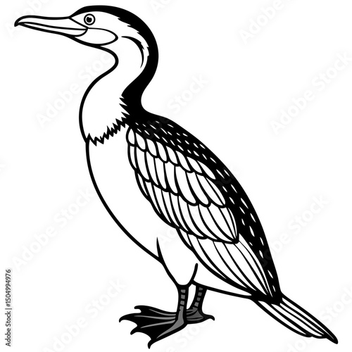 Minimalist Great Cormorant Vector on White Background
