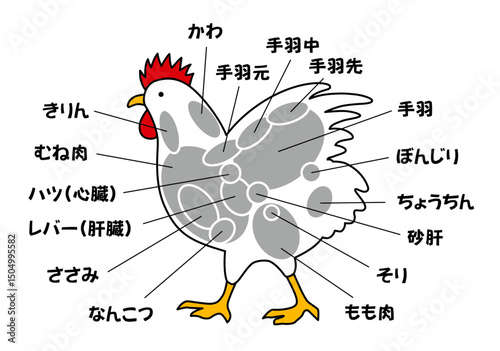 鶏部位