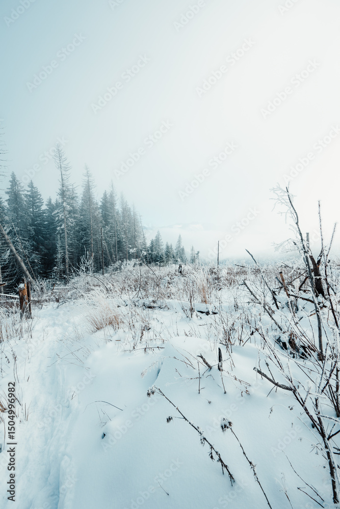 Obraz premium Winter hiking to Sina in Low Tatras National park near jasna is full of beautiful views. Sunset in Slovakia mountains with Chopok peak.