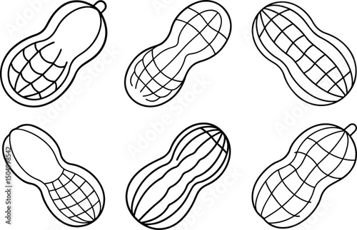 Set of peanut outline coloring book page vector illustration line art