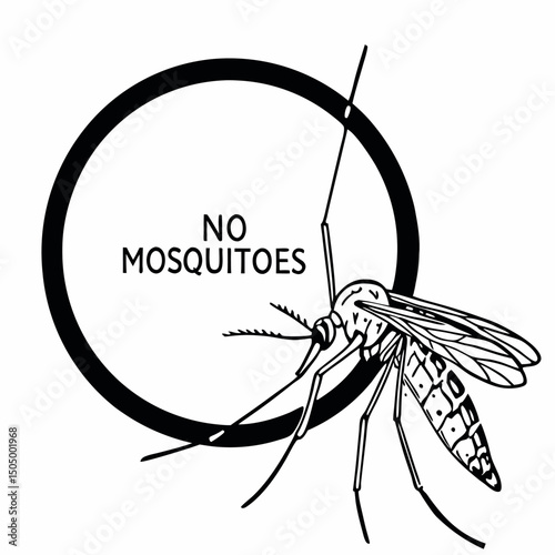 Close-up isolated macro of a mosquito sucking blood with a spider on a white background