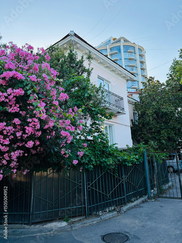 Spring urban landscape, Yalta, Crimea