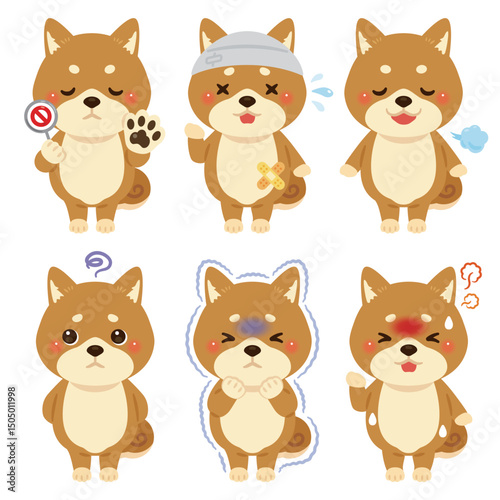 様々な状態の柴犬のキャラクターイラストセット