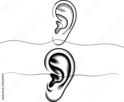 Ear Line Art Illustration, Black and White Stylized Ear Drawing Set.