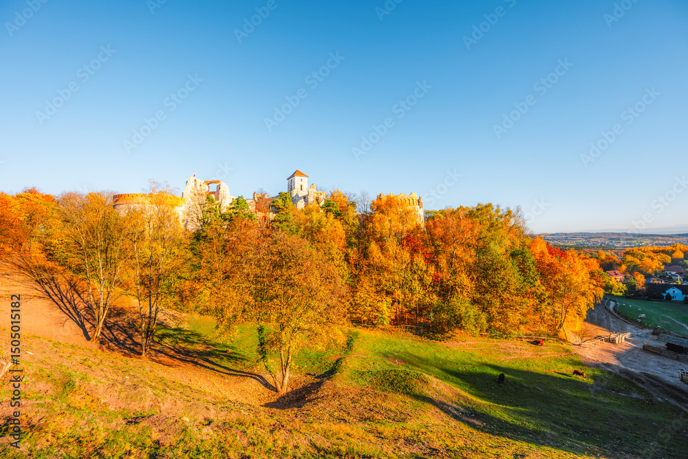 Naklejka premium Ruins of medieval Tenczyn castle in Rudno near Krakow in Poland.
