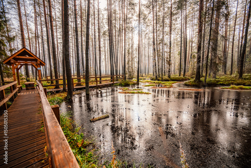 Tableau sur toile A wooden walking misty path in Bor na Czerwonem nature reserve in Nowy Targ in P