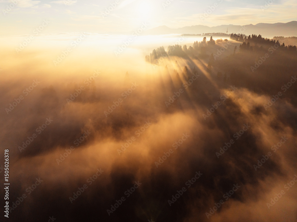 Fototapeta premium Sunset over Liptov region with and High Tatras mountains around. Misty view of tree tops with the rays of morning light.