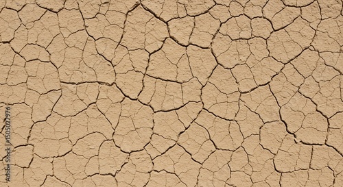 Parched Earth Texture: Arid Land Cracked Soil Surface