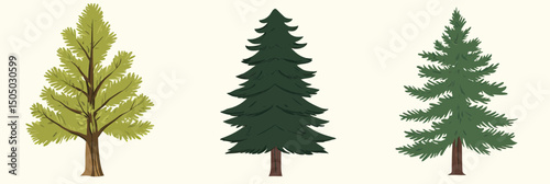 Set of three hand drawn style vector pine trees with detailed branches and needles in flat minimalist design showcasing natural evergreen forest foliage