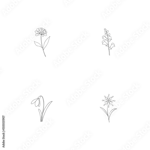Delicate black line drawing collection of four unique floral elements on a white background