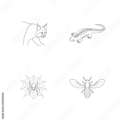 Simple outlined illustrations of various animals including a lynx, salamander, spider and insect